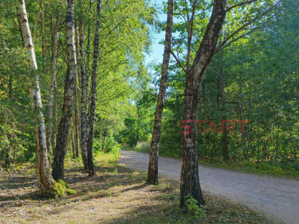 Działka usługowa Marków-Świnice gm. Mszczonów,