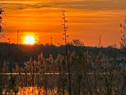 Odstąpię działkę nad Jeziorem Zegrzyńskim 0