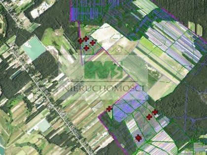 DO SPRZEDAŻY DZIAŁKI ROLNE W KULNIE