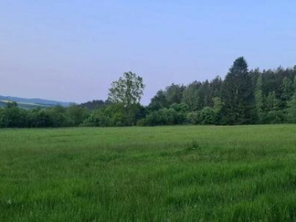 Nieruchomość - Wambierzyce