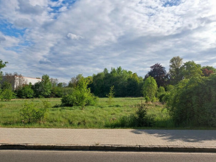 Działka inwestycyjna Wymiarki,