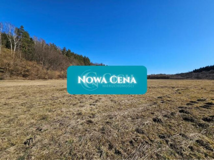 Działka inwestycyjna Uście Gorlickie
