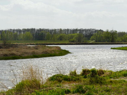 Działka budowlana Brok