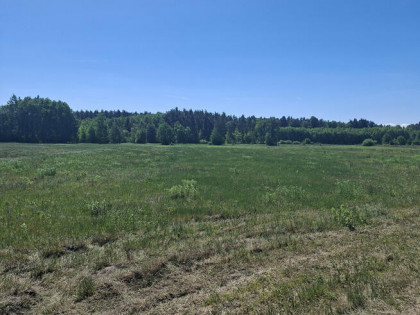 Działka budowlana Pogorzeliska gm. Chocianów,