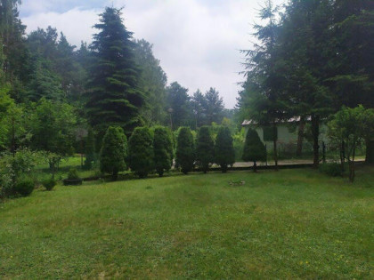 Działka ROD Zacisze w Walendowie