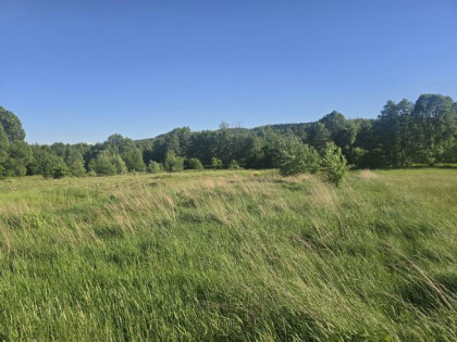 Działka budowlana Kajetanów gm. Zagnańsk
