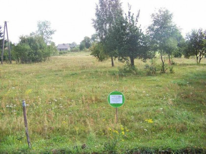 Sprzedam działkę