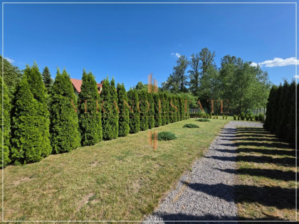 Rekreacyjna 233 m² | własność | gm. Tarczyn