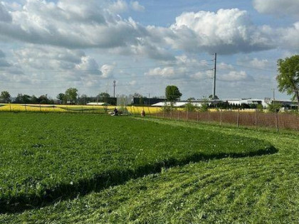 Działka budowlana (3000 m2) MEDIA (Żórawina)