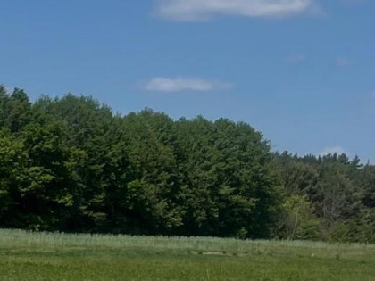 Działka budowlana blisko lasu, idealna inwestycja.