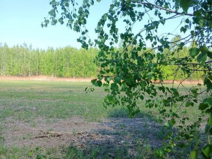 Projekt deweloperski przy lesie-8 działek