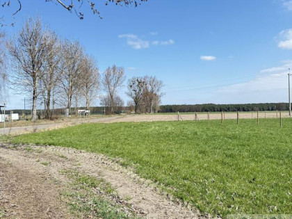 Działka budowlana Żabno gm. Brodnica