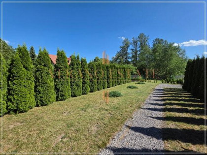 Rekreacyjna 233 m² | własność | gm. Tarczyn
