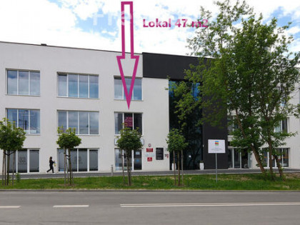 Lokal użytkowy 47 m2 ,Pabianicka 28, Bełchatów