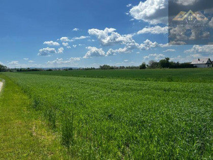 Działka rolno-budowlana Wierzchosławice