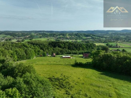 Działka rolno-budowlana Siemiechów gm. Gromnik
