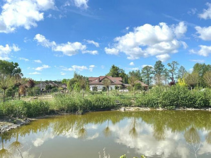 Dom ze stawem i winiarnią, blisko lasu, Kopanino