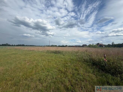 Działka budowlane na sprzedaż – Pustelnik, gm. Sta
