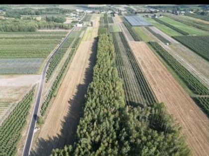 Sprzedam dwie działki w pakiecie, po 3000 m2 każda Piekut
