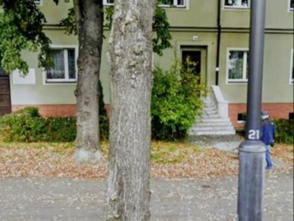 Gliwice, ul.A.Mickiewicza mieszkanie do wynajęcia 63 m, 1p