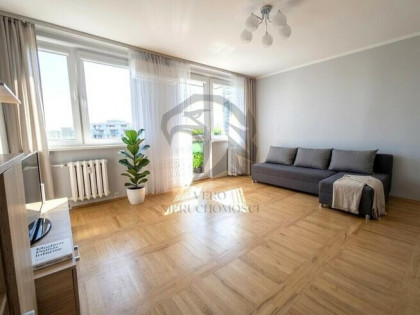 Podniebna przystań zalana wrocławskim słońcem