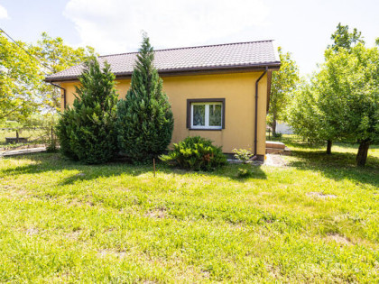 Dom , budynki gospodarcze, działka 4200m2