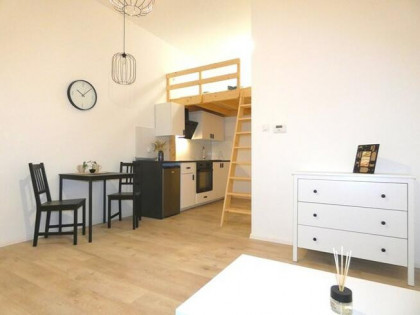 Kawalerka z antresolą, pet-friendly - Miarki 14