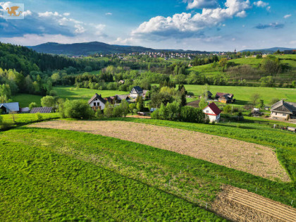 Działka rolna Toporzysko gm. Jordanów