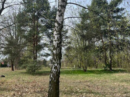 SPRZEDAM PIĘKNĄ DZIAŁKĘ 1500M2 W DRUGIEJ LINI ZABUDOWY