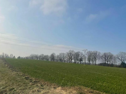 Działka inwestycyjna przy obwodnicy 10821m2