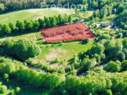 Działka na sprzedaż - Tarnowo pow. pilski