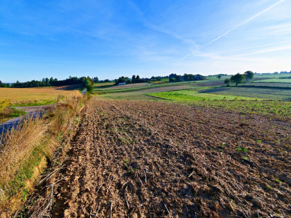 Działka 53ar w doskonałej cenie - blisko Nałęczowa