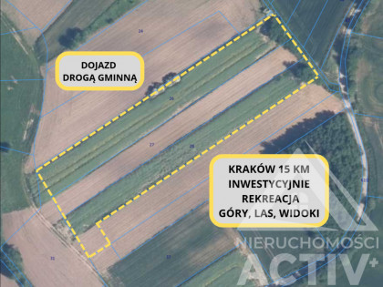 Rolna z potencjałem, rekreacja, 1ha, Kraków 15km