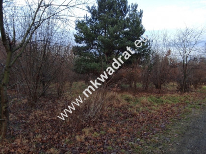 ⭐⭐⭐⭐  Działka Budowlana 1122 m Budy Grzybek ⭐⭐⭐⭐