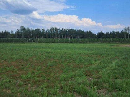 Działka inwestycyjna Kamionka gm. Prażmów,