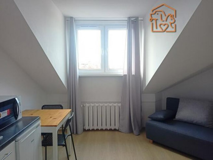 Wiejska 68, Nowe Miasto, kawalerka pet-friendly