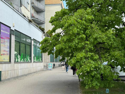 Lokal użytkowy Warszawa gm. Mokotów Mokotów, Racławicka