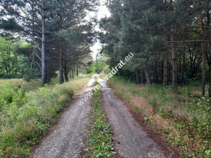 Działka budowlana na terenie leśnym MPZP Strzeniówka