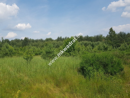 ⭐⭐⭐⭐⭐ Działka 4000  m²  - usługowo-budowlana MPZP!