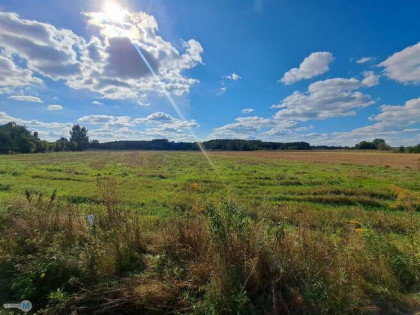 Działka Chmielnik Suskrajowice