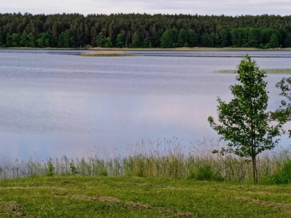 Działka nad jeziorem.