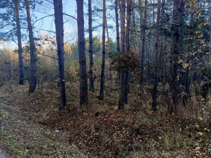 Działka w miejscowości Ostrów , sprzedaż bezpośrednia
