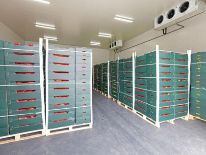 Chłodnia, magazyn 50-200 m² regały, wózek widłowy