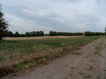Działka pod Łodzią, gmina Zgierz, Józefów WZ