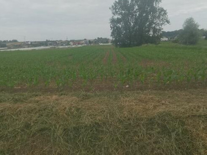 Sprzedam działkę