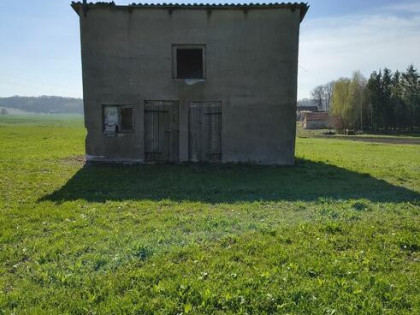 Blizniak