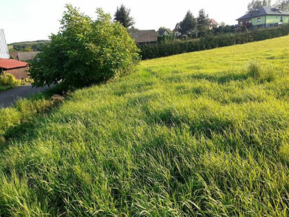 Sprzedam dz. budowlaną gmina Dębno k. Brzeska