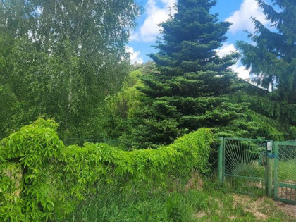 Działka siedliskowa Osie