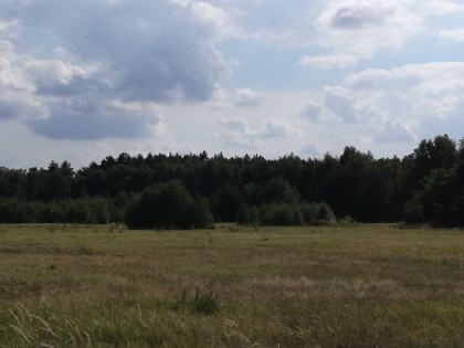 Konkurs ofert