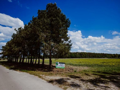 Działka budowlana Kępa Borzechowska gm. Borzechów